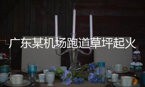 廣東某機(jī)場跑道草坪起火系謠言，真相揭秘與公眾安心