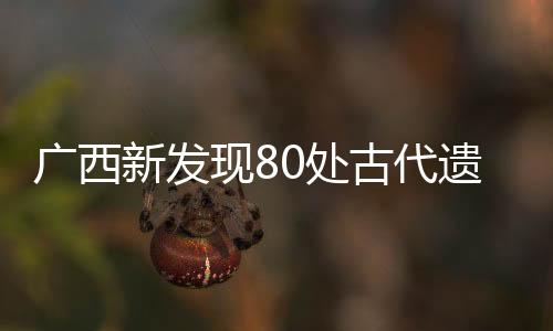 廣西新發(fā)現(xiàn)80處古代遺址和遺物分布點(diǎn)