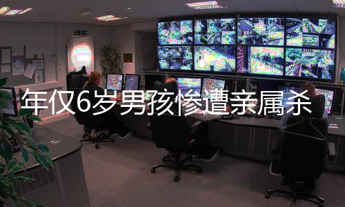 年僅6歲男孩慘遭親屬殺害事件引起社會關(guān)注與反思