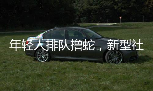 年輕人排隊擼蛇，新型社交活動掀起熱潮