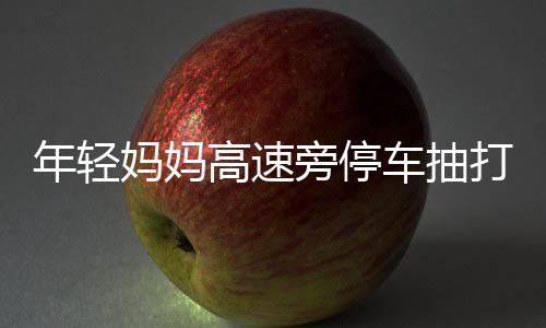 年輕媽媽高速旁停車抽打小孩事件深度解析