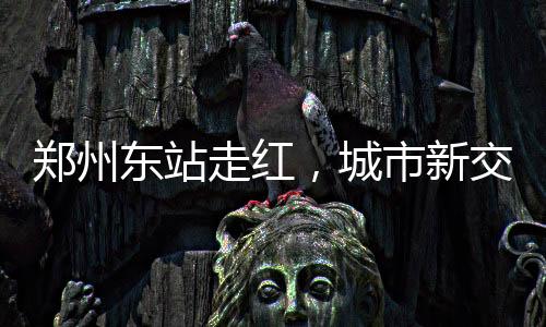 鄭州東站走紅，城市新交通樞紐的魅力展現(xiàn)
