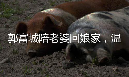 郭富城陪老婆回娘家，溫馨發(fā)紅包傳遞愛意