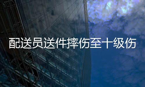 配送員送件摔傷至十級(jí)傷殘，起訴平臺(tái)——維護(hù)勞動(dòng)者權(quán)益的正義之戰(zhàn)