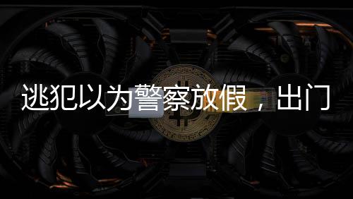 逃犯以為警察放假，出門買年貨被抓