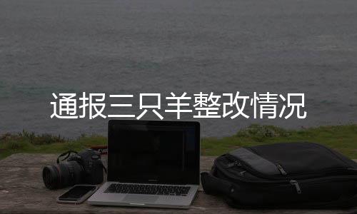 通報(bào)三只羊整改情況