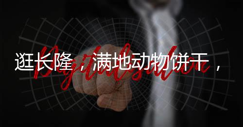 逛長隆，滿地動物餅干，開啟奇幻之旅