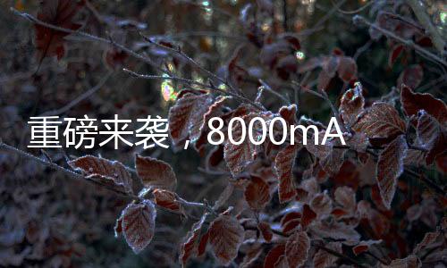 重磅來襲，8000mAh超大容量手機(jī)電池即將來臨