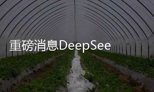 重磅消息DeepSeek-R2即將于下周發(fā)布，引領(lǐng)科技新潮流