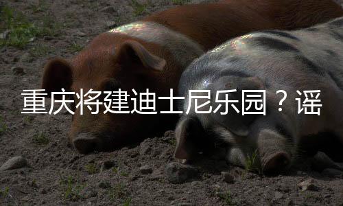 重慶將建迪士尼樂(lè)園？謠言解析