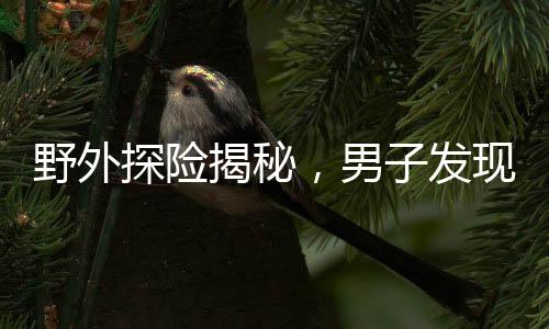 野外探險揭秘，男子發(fā)現(xiàn)神秘山洞，扔石塊探深20秒未見底