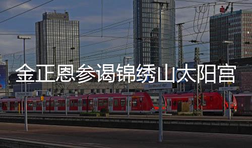 金正恩參謁錦繡山太陽宮，展現(xiàn)領(lǐng)袖風(fēng)范與堅(jiān)定意志