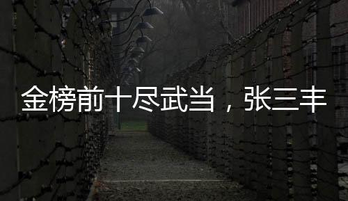 金榜前十盡武當(dāng)，張三豐人傻了！