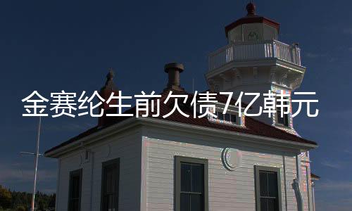 金賽綸生前欠債7億韓元，遺產(chǎn)與債務(wù)之謎揭秘