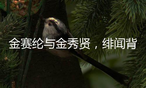 金賽綸與金秀賢，緋聞背后的故事