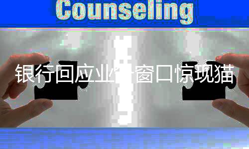 銀行回應(yīng)業(yè)務(wù)窗口驚現(xiàn)貓咪出沒，溫馨一幕引發(fā)關(guān)注熱議