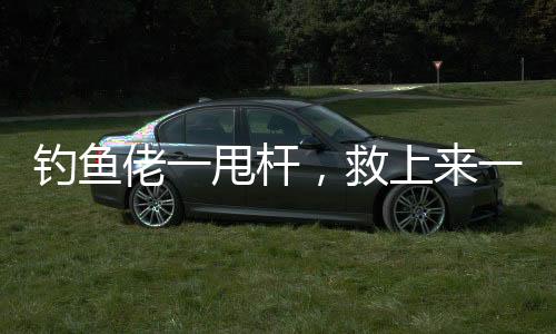 釣魚佬一甩桿，救上來一個人