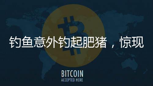 釣魚意外釣起肥豬，驚現(xiàn)垂釣新奇跡！