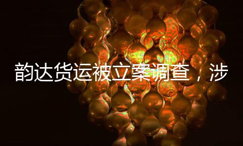 韻達(dá)貨運(yùn)被立案調(diào)查，涉事公司運(yùn)營(yíng)的隱患與社會(huì)影響深度剖析