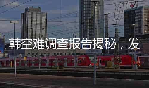 韓空難調(diào)查報(bào)告揭秘，發(fā)動(dòng)機(jī)吸入花臉鴨事件