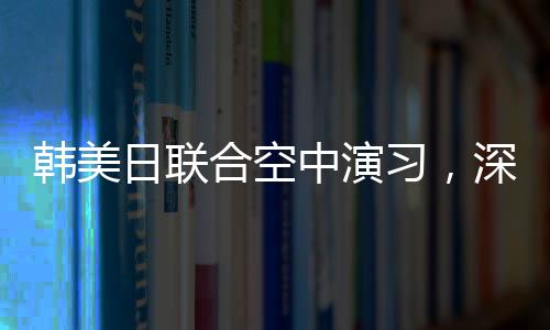 韓美日聯(lián)合空中演習，深化區(qū)域安全合作的顯著行動