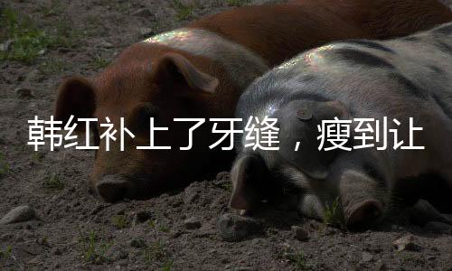 韓紅補(bǔ)上了牙縫，瘦到讓人認(rèn)不出——探索韓紅形象變化的背后故事
