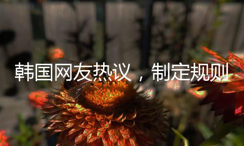韓國(guó)網(wǎng)友熱議，制定規(guī)則者應(yīng)否辭職？引發(fā)廣泛討論的背后原因