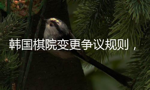 韓國棋院變更爭議規(guī)則，中國棋協(xié)作出回應(yīng)