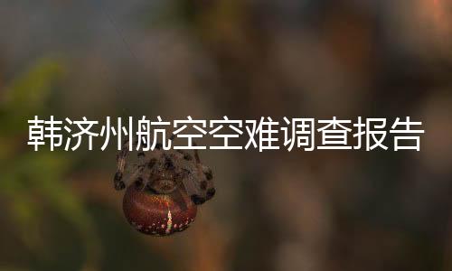 韓濟州航空空難調(diào)查報告公布