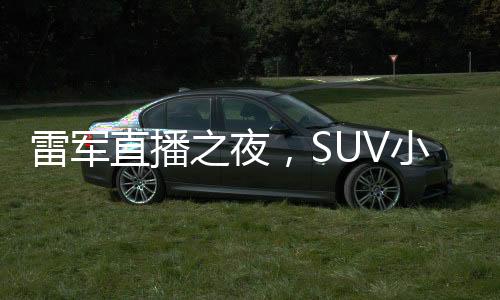 雷軍直播之夜，SUV小米七智駕的嘗試與挑戰(zhàn)傳奇難度的熱議上演