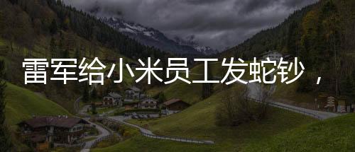 雷軍給小米員工發(fā)蛇鈔，一場(chǎng)特殊的福利與企業(yè)文化展現(xiàn)