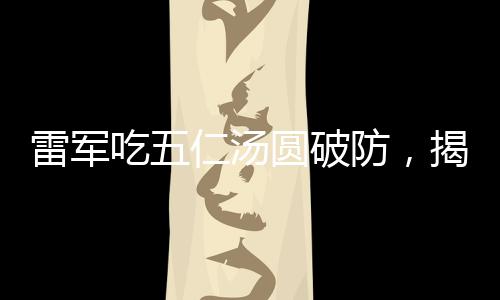 雷軍吃五仁湯圓破防，揭秘背后的故事與情感共鳴