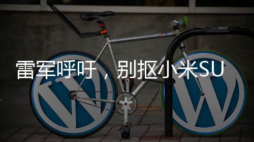 雷軍呼吁，別摳小米SU7 Ultra鍍金車標(biāo)