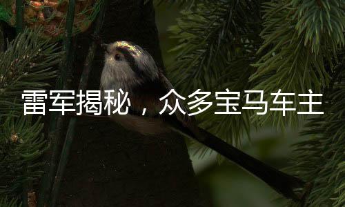 雷軍揭秘，眾多寶馬車主轉(zhuǎn)向小米，跨界融合引領(lǐng)智能生活新風(fēng)尚