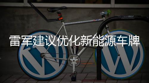 雷軍建議優(yōu)化新能源車牌顏色，推動綠色出行再升級