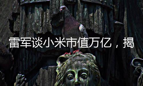 雷軍談小米市值萬億，揭秘企業(yè)成長之道與未來展望