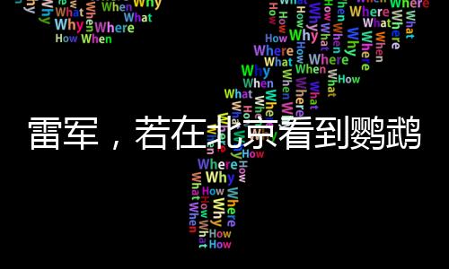 雷軍，若在北京看到鸚鵡綠，那便是我