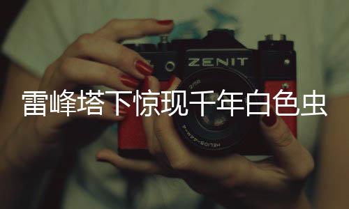 雷峰塔下驚現(xiàn)千年白色蟲子，神秘傳說再度引熱議