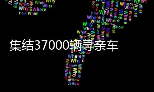 集結(jié)37000輛尋親車(chē)，全國(guó)大型尋親活動(dòng)正式啟動(dòng)