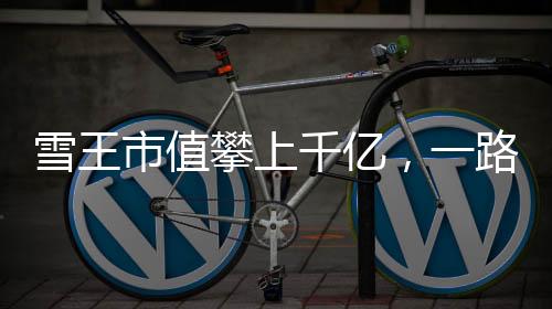 雪王市值攀上千億，一路高歌猛進，成就行業(yè)巨頭