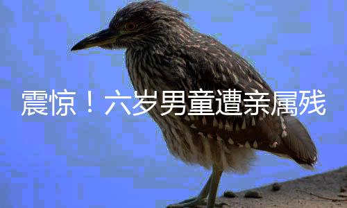 震驚！六歲男童遭親屬殘忍殺害——人間悲劇引發(fā)的深度思考