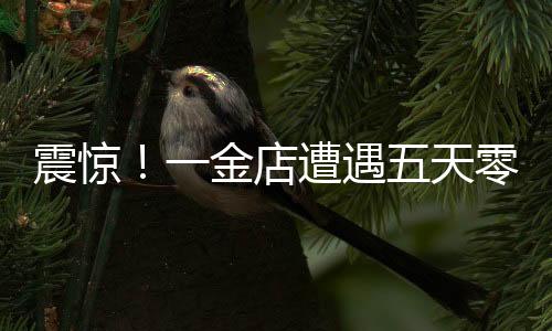 震驚！一金店遭遇五天零成交困境