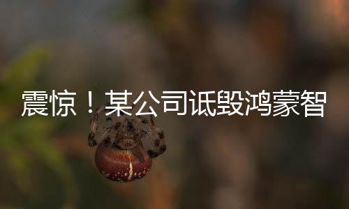 震驚！某公司詆毀鴻蒙智行，多人因涉嫌誹謗被捕