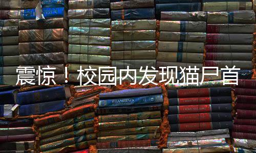 震驚！校園內(nèi)發(fā)現(xiàn)貓尸首分離被塞入課桌，引發(fā)關(guān)注與調(diào)查