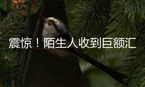震驚！陌生人收到巨額匯款，金額高達1.7億