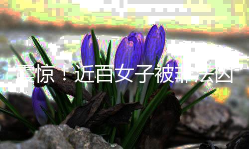 震驚！近百女子被非法囚禁取卵，揭露黑暗產(chǎn)業(yè)鏈內(nèi)幕