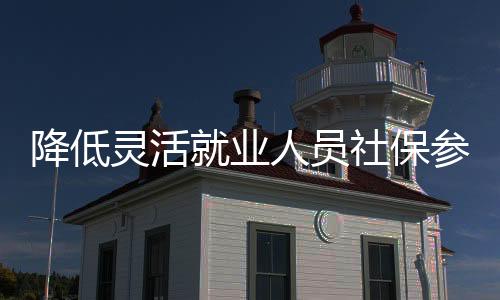 降低靈活就業(yè)人員社保參保門檻，保障更廣泛的靈活就業(yè)群體的權益與福祉