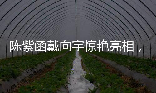 陳紫函戴向宇驚艷亮相，以敖閏敖光角色cosplay掀起熱潮