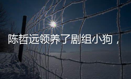 陳哲遠(yuǎn)領(lǐng)養(yǎng)了劇組小狗，愛(ài)心之舉，樹(shù)立藝人良好形象