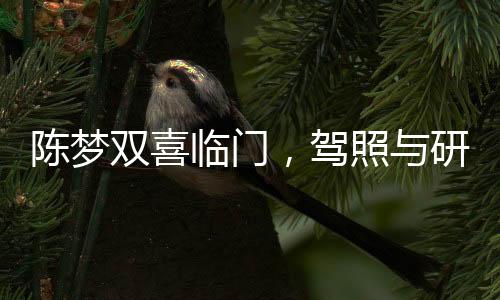 陳夢(mèng)雙喜臨門，駕照與研究生畢業(yè)證榮譽(yù)出爐